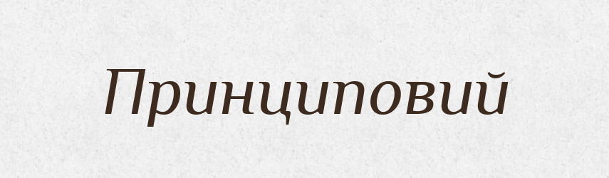 Принциповий — Словник чужомовних слів і термінів