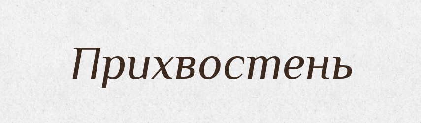 Прихвостень — Словник чужомовних слів і термінів