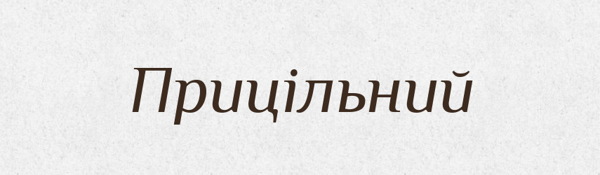 Прицільний — Словник чужомовних слів і термінів