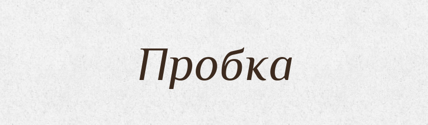 Пробка — Словник чужомовних слів і термінів