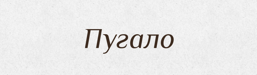 Пугало — Словник чужомовних слів і термінів