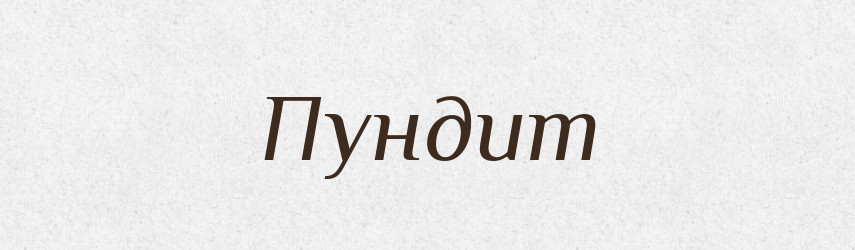 Пундит — Словник чужомовних слів і термінів