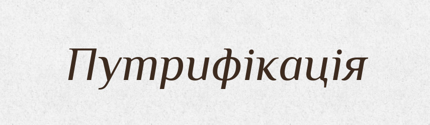 Путрифікація — Словник чужомовних слів і термінів