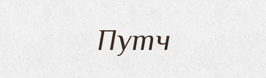 Путч — Словник чужомовних слів і термінів