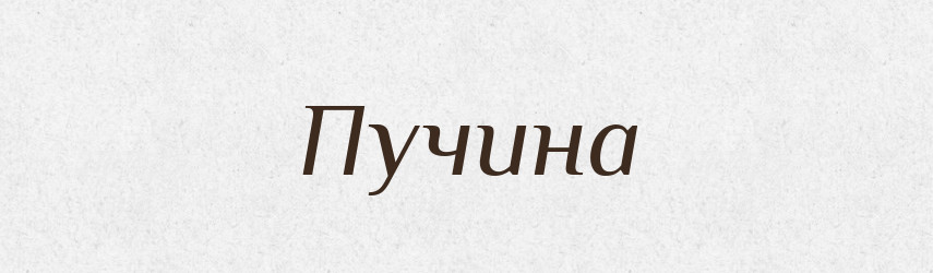 Пучина — Словник чужомовних слів і термінів