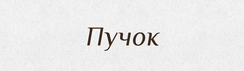 Пучок — Словник чужомовних слів і термінів