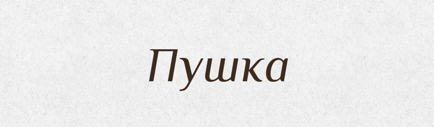 Пушка — Словник чужомовних слів і термінів