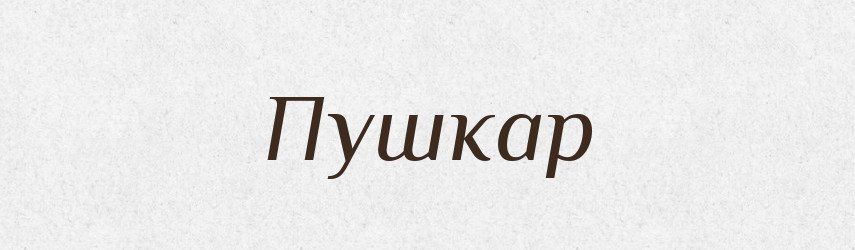 Пушкар — Словник чужомовних слів і термінів