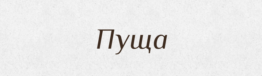 Пуща — Словник чужомовних слів і термінів
