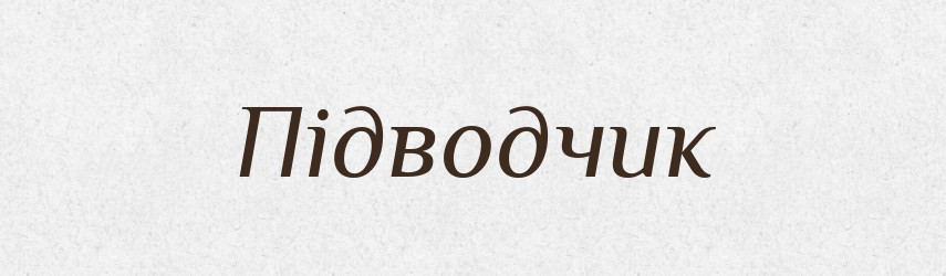Підводчик — Словник чужомовних слів і термінів