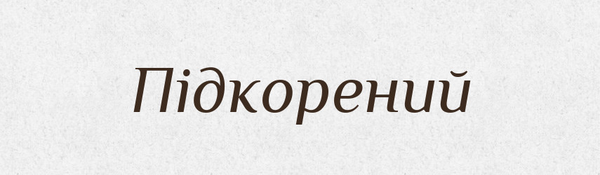 Підкорений — Словник чужомовних слів і термінів