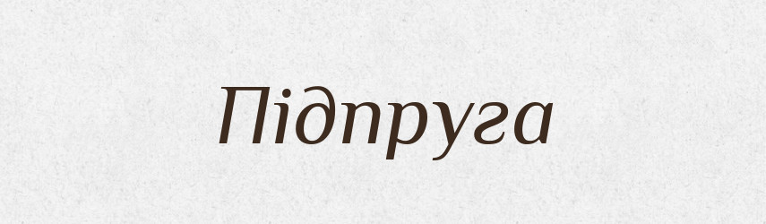 Підпруга — Словник чужомовних слів і термінів
