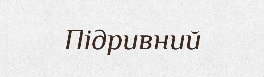Підривний — Словник чужомовних слів і термінів