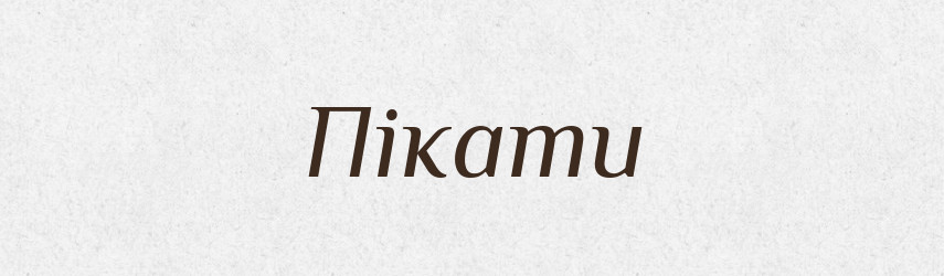 Пікати — Словник чужомовних слів і термінів