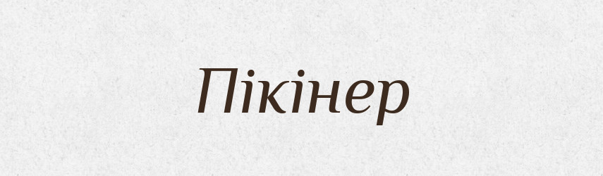 Пікінер — Словник чужомовних слів і термінів