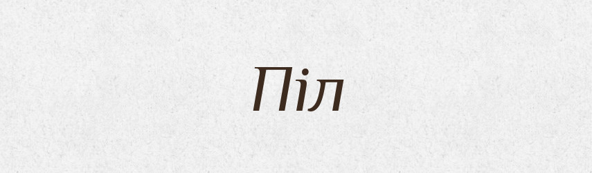 Піл — Словник чужомовних слів і термінів