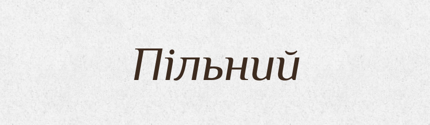 Пільний — Словник чужомовних слів і термінів