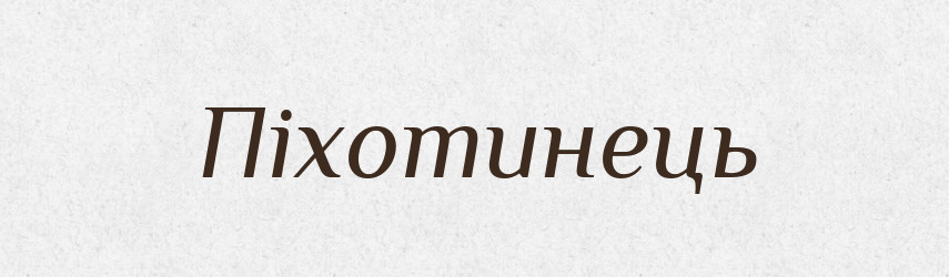 Піхотинець — Словник чужомовних слів і термінів