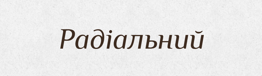Радіальний — Словник чужомовних слів і термінів