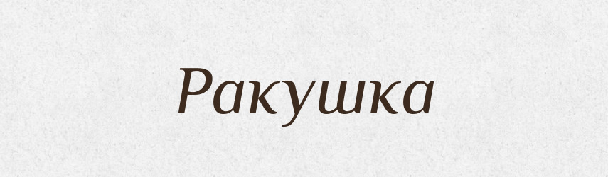 Ракушка — Словник чужомовних слів і термінів