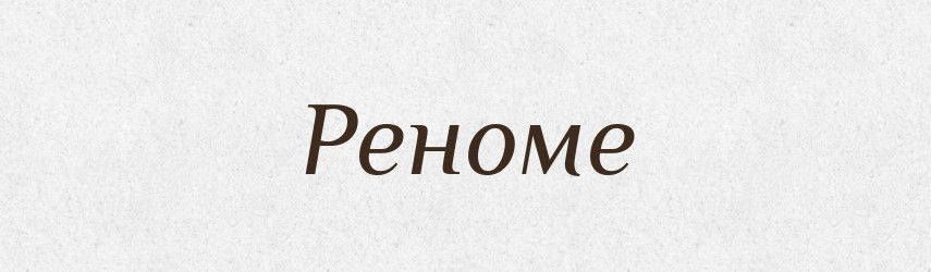 Реноме — Словник чужомовних слів і термінів