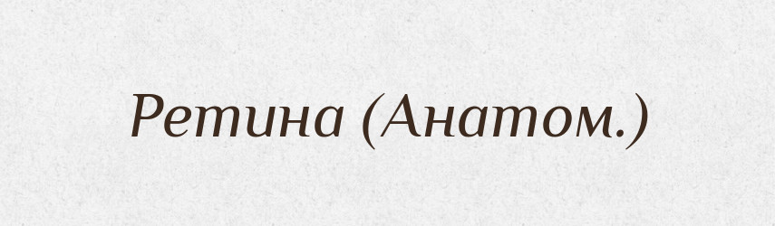 Ретина (Анатом.) — Словник чужомовних слів і термінів