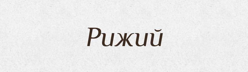 Рижий — Словник чужомовних слів і термінів