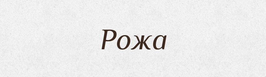 Рожа — Словник чужомовних слів і термінів