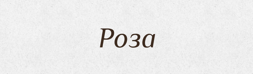 Роза — Словник чужомовних слів і термінів