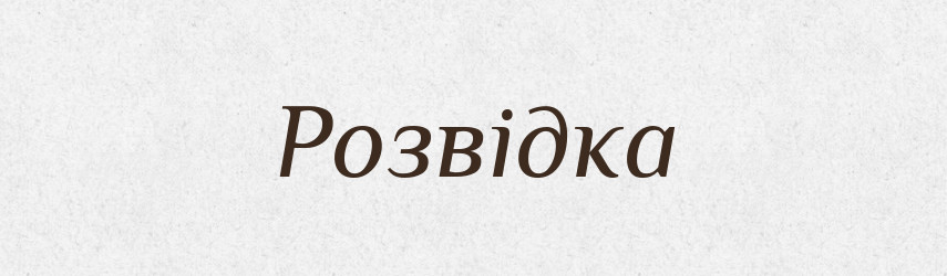 Розвідка — Словник чужомовних слів і термінів