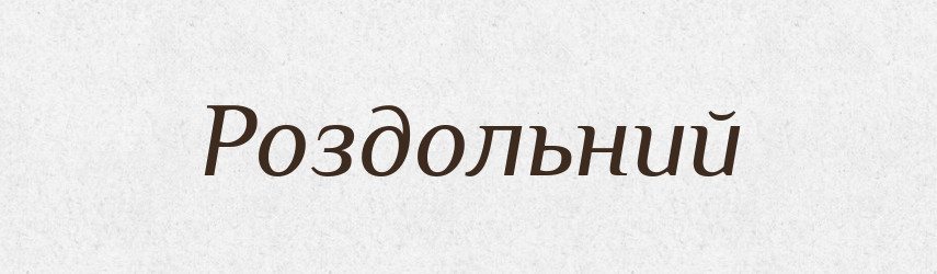 Роздольний — Словник чужомовних слів і термінів