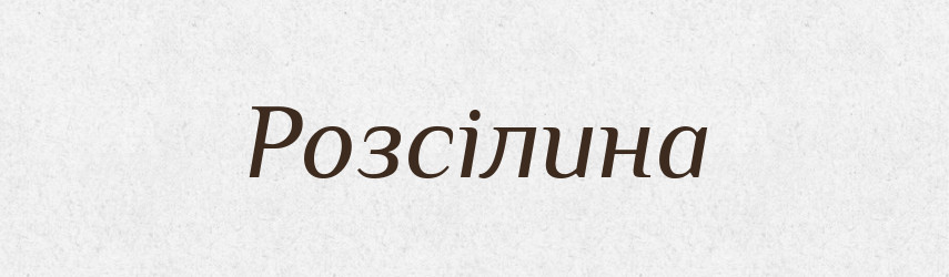 Розсілина — Словник чужомовних слів і термінів