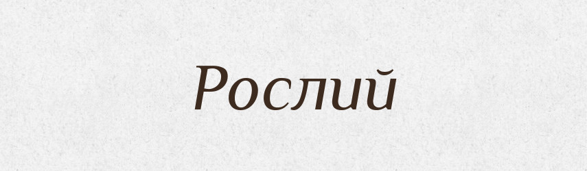 Рослий — Словник чужомовних слів і термінів