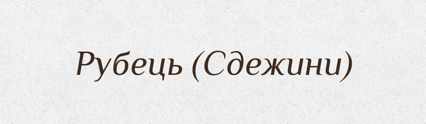 Рубець (Сдежини) — Словник чужомовних слів і термінів