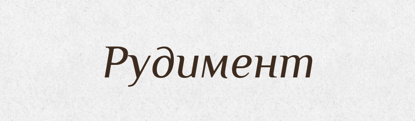 Рудимент — Словник чужомовних слів і термінів