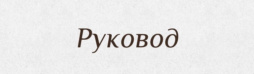 Руковод — Словник чужомовних слів і термінів