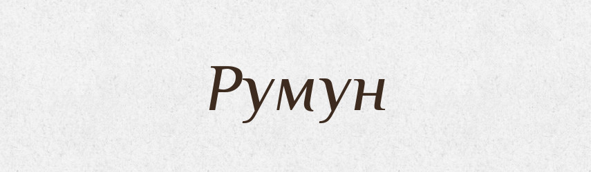Румун — Словник чужомовних слів і термінів