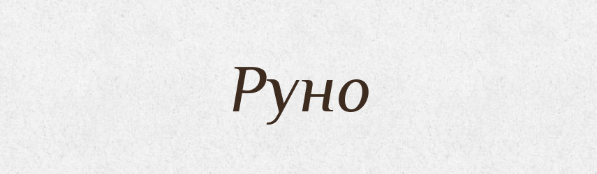 Руно — Словник чужомовних слів і термінів