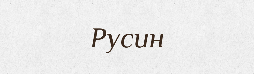 Русин — Словник чужомовних слів і термінів