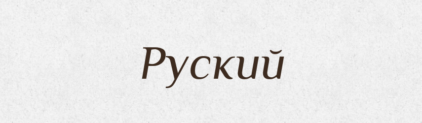 Руский — Словник чужомовних слів і термінів