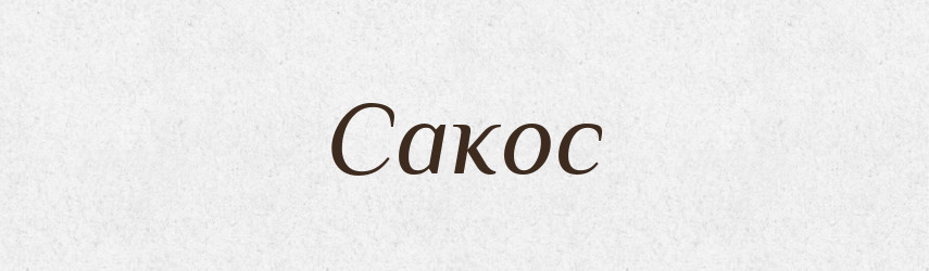 Сакос — Словник чужомовних слів і термінів