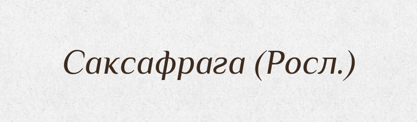 Саксафрага (Росл.) — Словник чужомовних слів і термінів