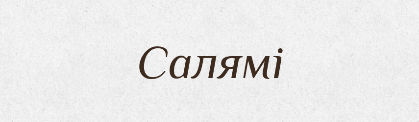 Салямі — Словник чужомовних слів і термінів