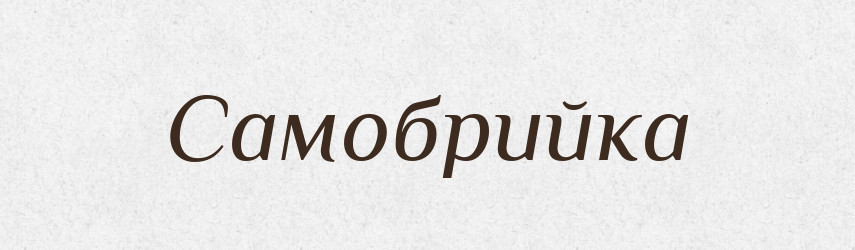 Самобрийка — Словник чужомовних слів і термінів