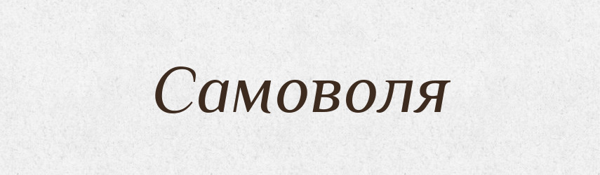 Самоволя — Словник чужомовних слів і термінів