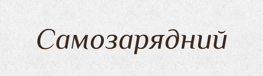 Самозарядний — Словник чужомовних слів і термінів