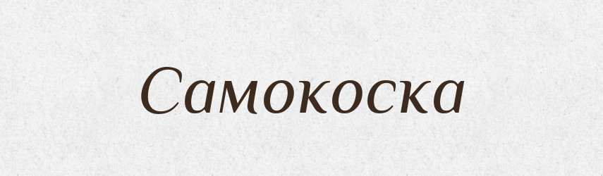 Самокоска — Словник чужомовних слів і термінів