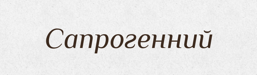 Сапрогенний — Словник чужомовних слів і термінів