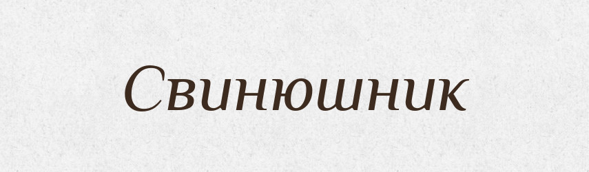Свинюшник — Словник чужомовних слів і термінів