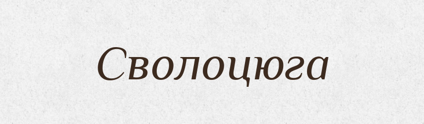 Сволоцюга — Словник чужомовних слів і термінів